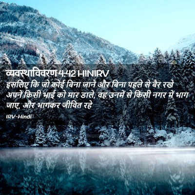 Picture 02 - व्यवस्थाविवरण 4:42 HINIRV - इसलिए कि जो कोई - Bible Verse Picture