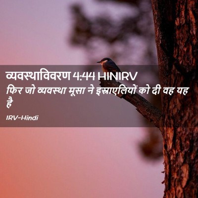 Picture 02 - व्यवस्थाविवरण 4:44 HINIRV - फिर जो व्यवस्था - Bible Verse Picture