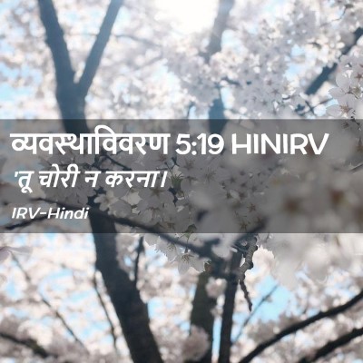 Picture 02 - व्यवस्थाविवरण 5:19 HINIRV - 'तू चोरी न - Bible Verse Picture