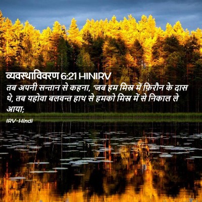Picture 02 - व्यवस्थाविवरण 6:21 HINIRV - तब अपनी सन्तान से - Bible Verse Picture