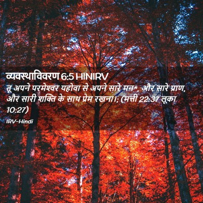 Picture 02 - व्यवस्थाविवरण 6:5 HINIRV - तू अपने परमेश्‍वर - Bible Verse Picture