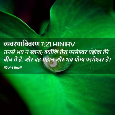 Picture 02 - व्यवस्थाविवरण 7:21 HINIRV - उनसे भय न खाना; - Bible Verse Picture
