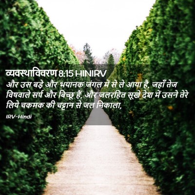 Picture 02 - व्यवस्थाविवरण 8:15 HINIRV - और उस बड़े और भयानक - Bible Verse Picture