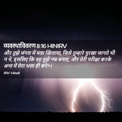 Picture 02 - व्यवस्थाविवरण 8:16 HINIRV - और तुझे जंगल में - Bible Verse Picture
