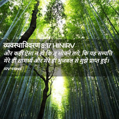 Picture 02 - व्यवस्थाविवरण 8:17 HINIRV - और कहीं ऐसा न हो कि - Bible Verse Picture