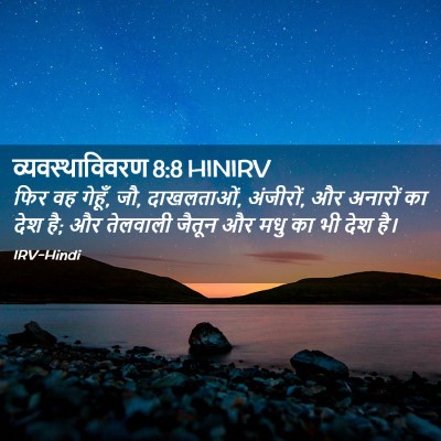 Picture 02 - व्यवस्थाविवरण 8:8 HINIRV - फिर वह गेहूँ, जौ, - Bible Verse Picture