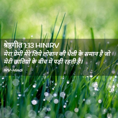 Picture 02 - श्रेष्ठगीत 1:13 HINIRV - मेरा प्रेमी मेरे - Bible Verse Picture