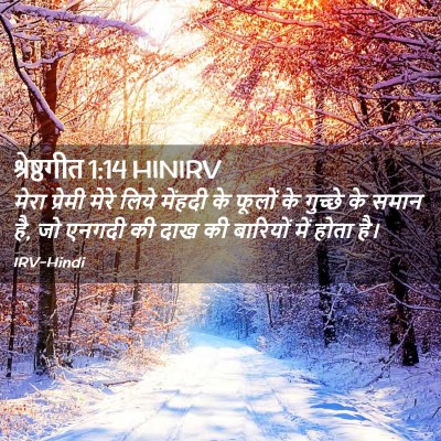 Picture 02 - श्रेष्ठगीत 1:14 HINIRV - मेरा प्रेमी मेरे - Bible Verse Picture