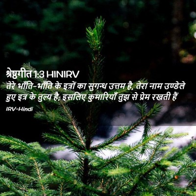 Picture 02 - श्रेष्ठगीत 1:3 HINIRV - तेरे भाँति-भाँति - Bible Verse Picture