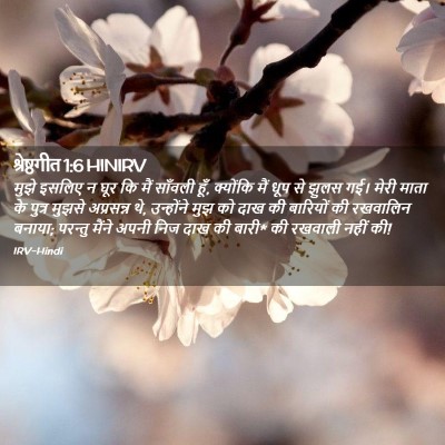 Picture 02 - श्रेष्ठगीत 1:6 HINIRV - मुझे इसलिए न घूर कि - Bible Verse Picture