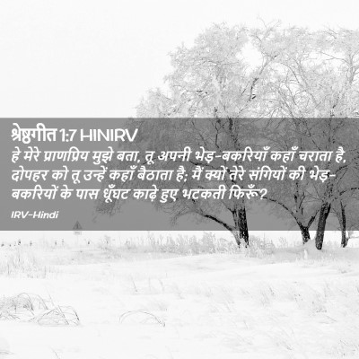 Picture 02 - श्रेष्ठगीत 1:7 HINIRV - हे मेरे - Bible Verse Picture