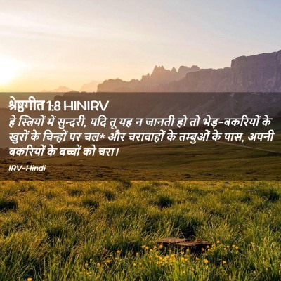 Picture 02 - श्रेष्ठगीत 1:8 HINIRV - हे स्त्रियों में - Bible Verse Picture