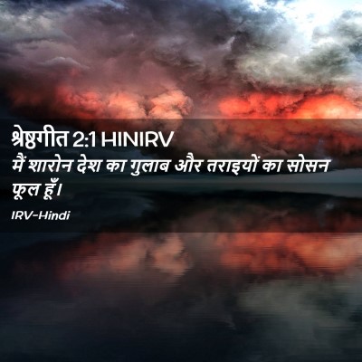 Picture 02 - श्रेष्ठगीत 2:1 HINIRV - मैं शारोन देश का - Bible Verse Picture