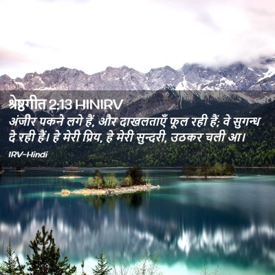Picture 02 - श्रेष्ठगीत 2:13 HINIRV - अंजीर पकने लगे हैं, - Bible Verse Picture