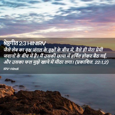 Picture 02 - श्रेष्ठगीत 2:3 HINIRV - जैसे सेब का वृक्ष - Bible Verse Picture