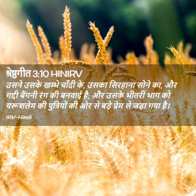 Picture 02 - श्रेष्ठगीत 3:10 HINIRV - उसने उसके खम्भे - Bible Verse Picture