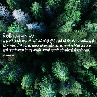 Picture 02 - श्रेष्ठगीत 3:4 HINIRV - मुझ को उनके पास से - Bible Verse Picture