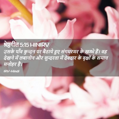 Picture 02 - श्रेष्ठगीत 5:15 HINIRV - उसके पाँव कुन्दन - Bible Verse Picture