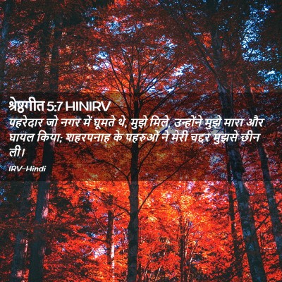 Picture 02 - श्रेष्ठगीत 5:7 HINIRV - पहरेदार जो नगर में - Bible Verse Picture