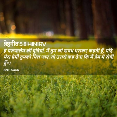 Picture 02 - श्रेष्ठगीत 5:8 HINIRV - हे यरूशलेम की - Bible Verse Picture