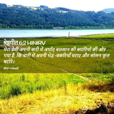Picture 02 - श्रेष्ठगीत 6:2 HINIRV - मेरा प्रेमी अपनी - Bible Verse Picture