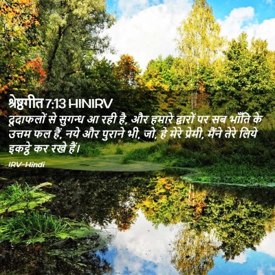 Picture 02 - श्रेष्ठगीत 7:13 HINIRV - दूदाफलों से - Bible Verse Picture