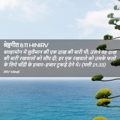 Picture 02 - श्रेष्ठगीत 8:11 HINIRV - बाल्हामोन में - Bible Verse Picture