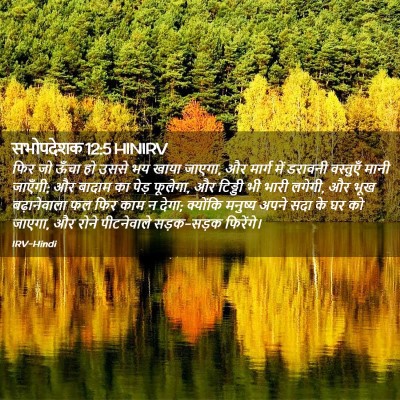 Picture 02 - सभोपदेशक 12:5 HINIRV - फिर जो ऊँचा हो उससे - Bible Verse Picture