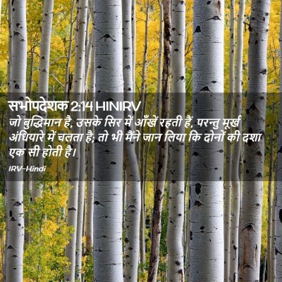 Picture 02 - सभोपदेशक 2:14 HINIRV - जो बुद्धिमान है, - Bible Verse Picture