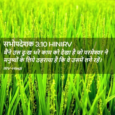 Picture 02 - सभोपदेशक 3:10 HINIRV - मैंने उस दुःख भरे - Bible Verse Picture