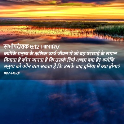 Picture 02 - सभोपदेशक 6:12 HINIRV - क्योंकि मनुष्य के - Bible Verse Picture