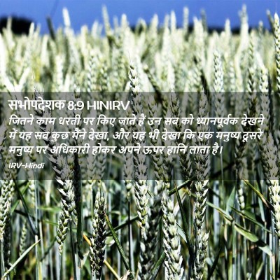 Picture 02 - सभोपदेशक 8:9 HINIRV - जितने काम धरती पर - Bible Verse Picture