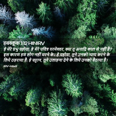 Picture 02 - हबक्कूक 1:12 HINIRV - हे मेरे प्रभु - Bible Verse Picture