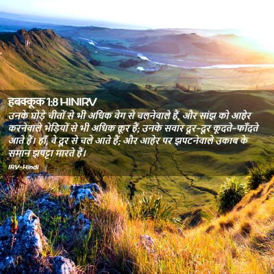 Picture 02 - हबक्कूक 1:8 HINIRV - उनके घोड़े चीतों - Bible Verse Picture