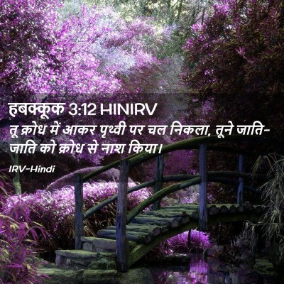 Picture 02 - हबक्कूक 3:12 HINIRV - तू क्रोध में आकर - Bible Verse Picture