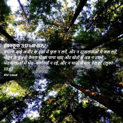 Picture 02 - हबक्कूक 3:17 HINIRV - क्योंकि चाहे - Bible Verse Picture