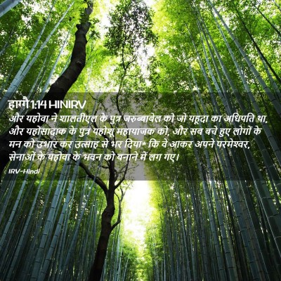 Picture 02 - हाग्गै 1:14 HINIRV - और यहोवा ने - Bible Verse Picture