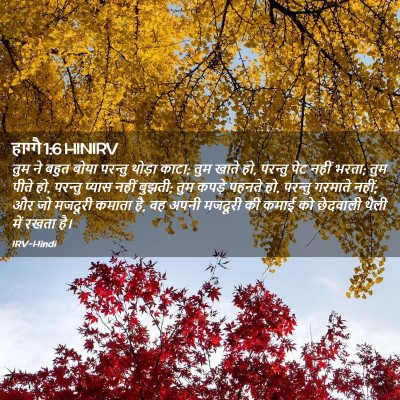 Picture 02 - हाग्गै 1:6 HINIRV - तुम ने बहुत बोया - Bible Verse Picture