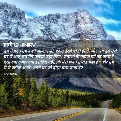 Picture 02 - हाग्गै 1:9 HINIRV - तुम ने बहुत उपज की - Bible Verse Picture