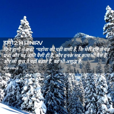 Picture 02 - हाग्गै 2:14 HINIRV - फिर हाग्गै ने कहा, - Bible Verse Picture