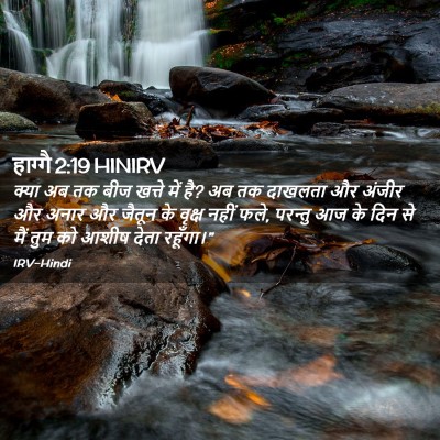 Picture 02 - हाग्गै 2:19 HINIRV - क्या अब तक बीज - Bible Verse Picture