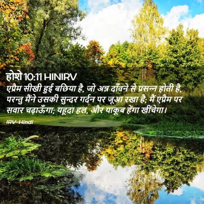 Picture 02 - होशे 10:11 HINIRV - एप्रैम सीखी हुई - Bible Verse Picture