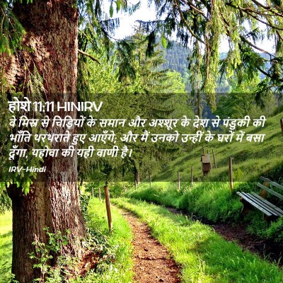 Picture 02 - होशे 11:11 HINIRV - वे मिस्र से - Bible Verse Picture