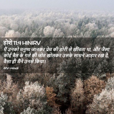 Picture 02 - होशे 11:4 HINIRV - मैं उनको मनुष्य - Bible Verse Picture