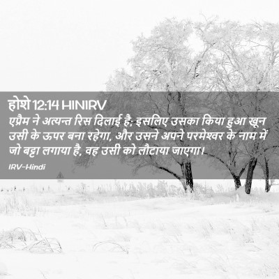 Picture 02 - होशे 12:14 HINIRV - एप्रैम ने अत्यन्त - Bible Verse Picture