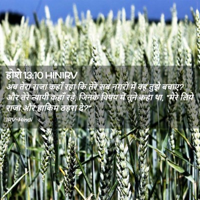 Picture 02 - होशे 13:10 HINIRV - अब तेरा राजा कहाँ - Bible Verse Picture