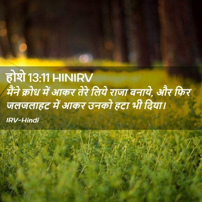 Picture 02 - होशे 13:11 HINIRV - मैंने क्रोध में - Bible Verse Picture