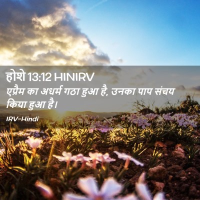 Picture 02 - होशे 13:12 HINIRV - एप्रैम का अधर्म - Bible Verse Picture