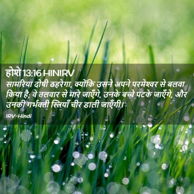 Picture 02 - होशे 13:16 HINIRV - सामरिय‍ा दोषी - Bible Verse Picture