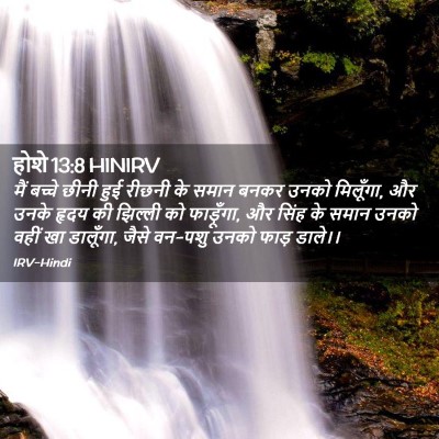 Picture 02 - होशे 13:8 HINIRV - मैं बच्चे छीनी हुई - Bible Verse Picture